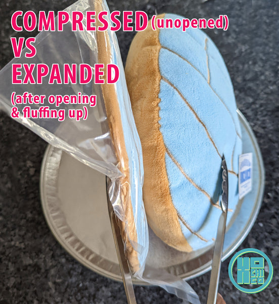 Comparison photo of compressed vs expanded pastel blue concha cushion