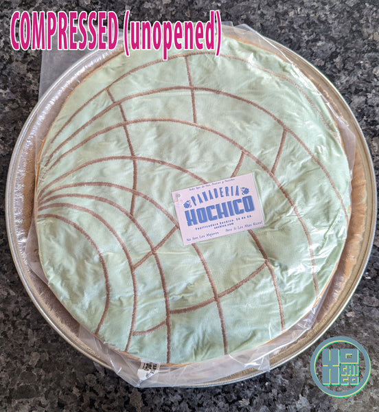 Compressed photo of Pastel Green concha cushion.