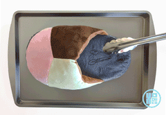 PANtuflas_PA_ANIMATED_medium.